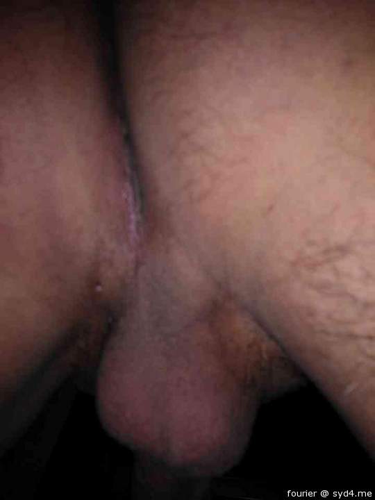 Testicles Photo from fourier