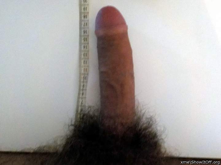 my 20 cm / 8 inches long cock