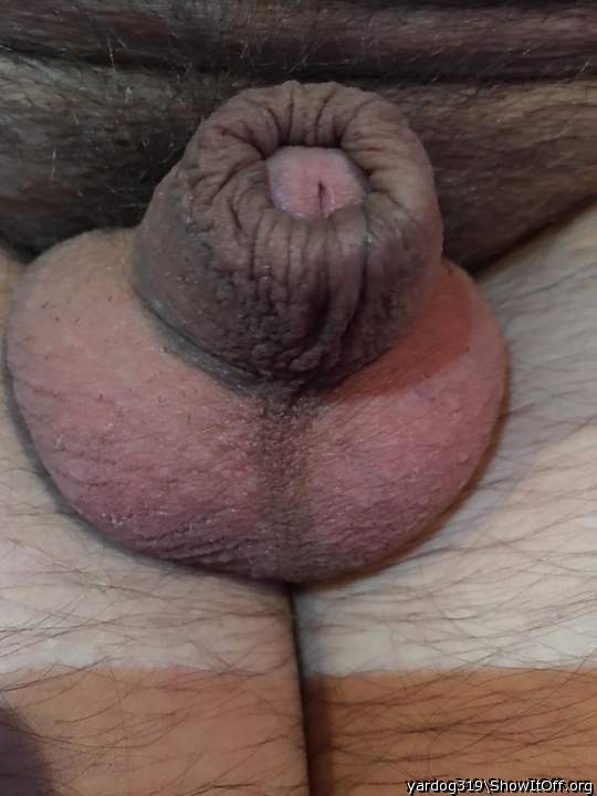 Photo of a third leg from yardog319
