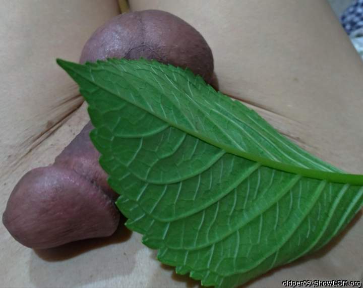 Photo of a thing from oldper69