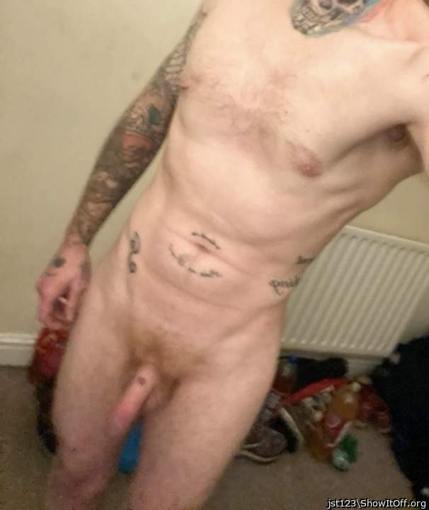 Photo of a lizard from jst123