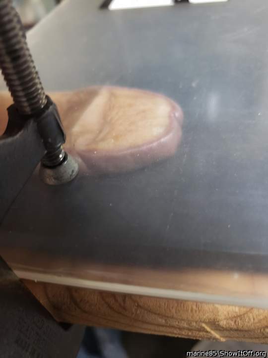 Flattened cock