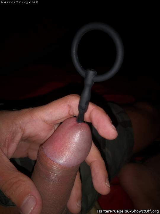 Photo of a pecker from HarterPruegel86