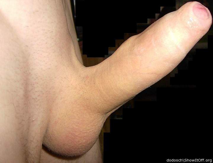 Photo of a pecker from dodosch