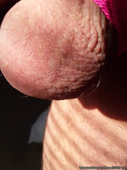 Photo of a boner from Nicecockforyou