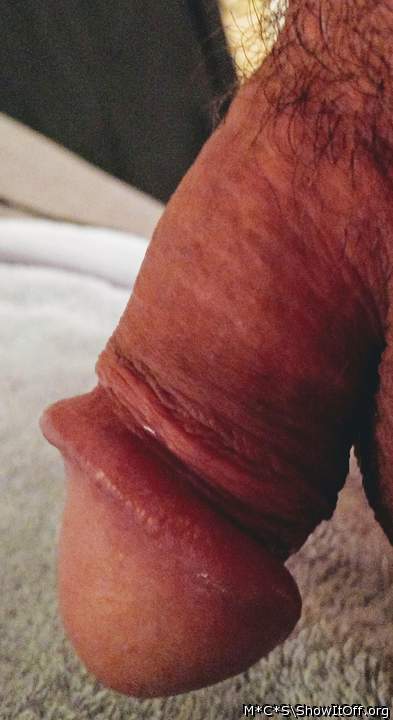 Photo of a pecker from M*C*S