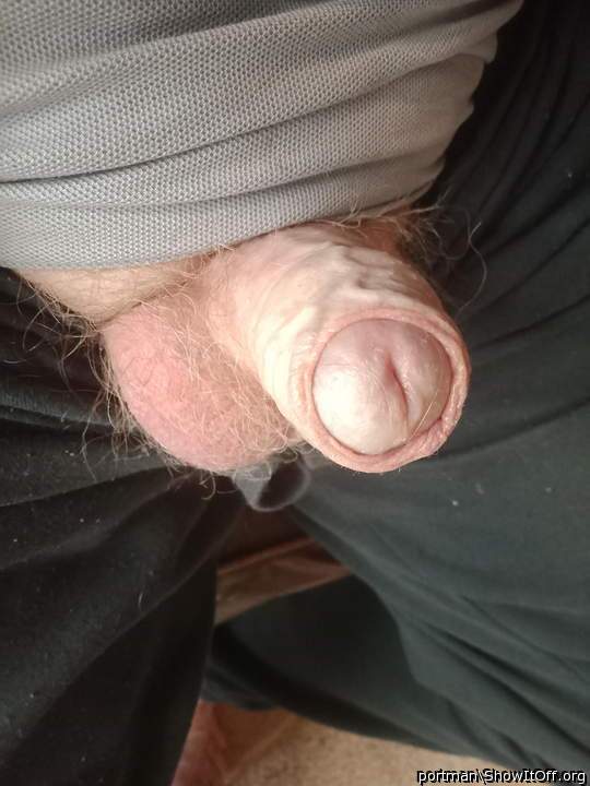 Ginger erect