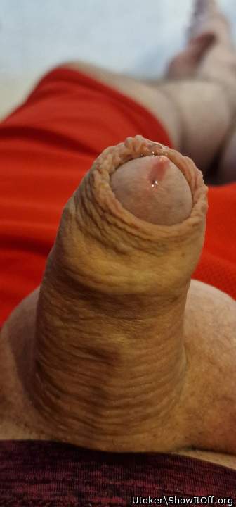 LOOKS LOOKS  LIKE CHRIS S COCK THAT LOU SUCKED