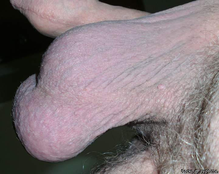 Photo of a boner from Rocko