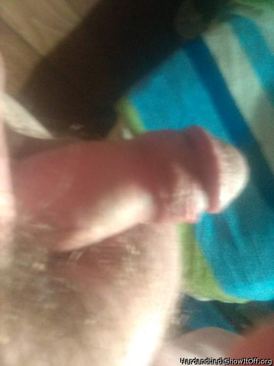 my cock