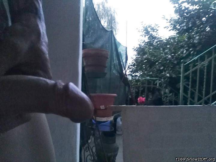 Photo of a phallus from fIl69