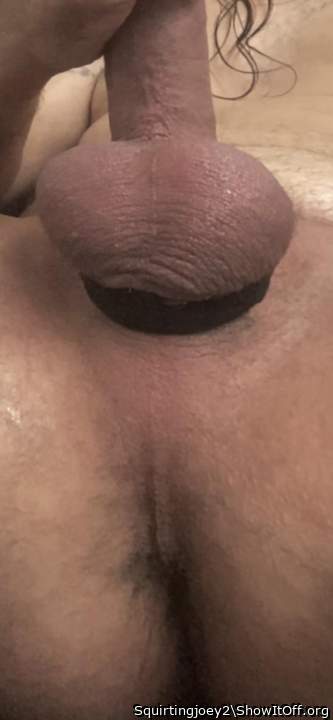 Photo of a cavalier from Squirtingjoey2
