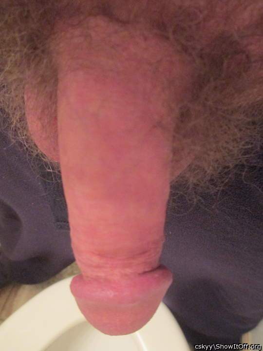 Photo of a middle leg from cskyy