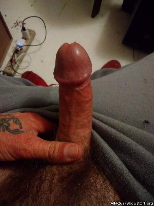 Photo of a member from Alf4269