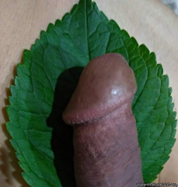 Photo of a pecker from oldper69