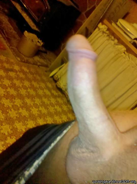 Photo of a short leg from cockingace