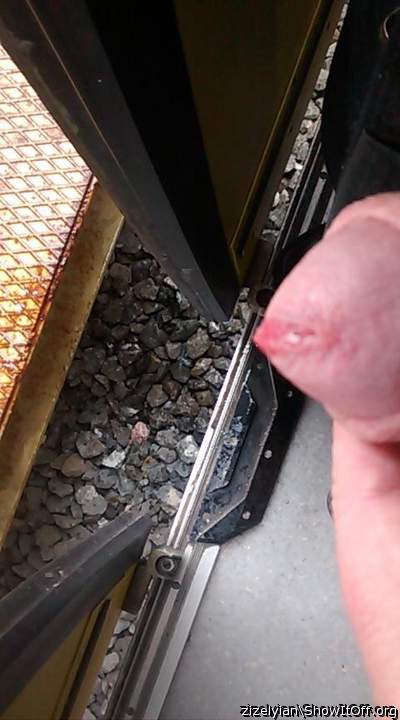 Photo of a thing from zizelyian