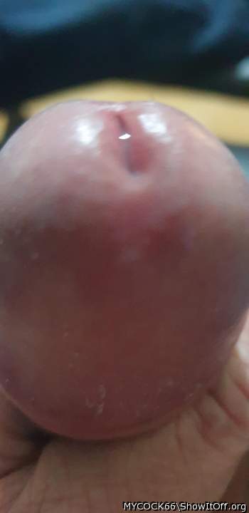 Photo of a third leg from MYCOCK66