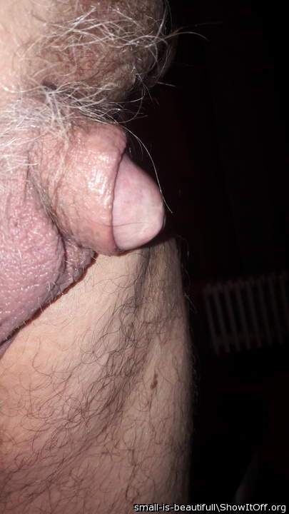 my just circumcised tiny dick