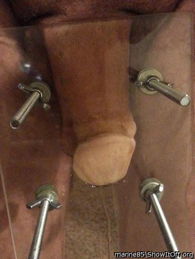 Flatter Cock