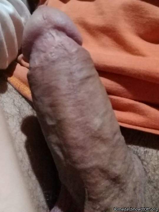 Photo of a pecker from Rimeda