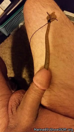 rubber worm