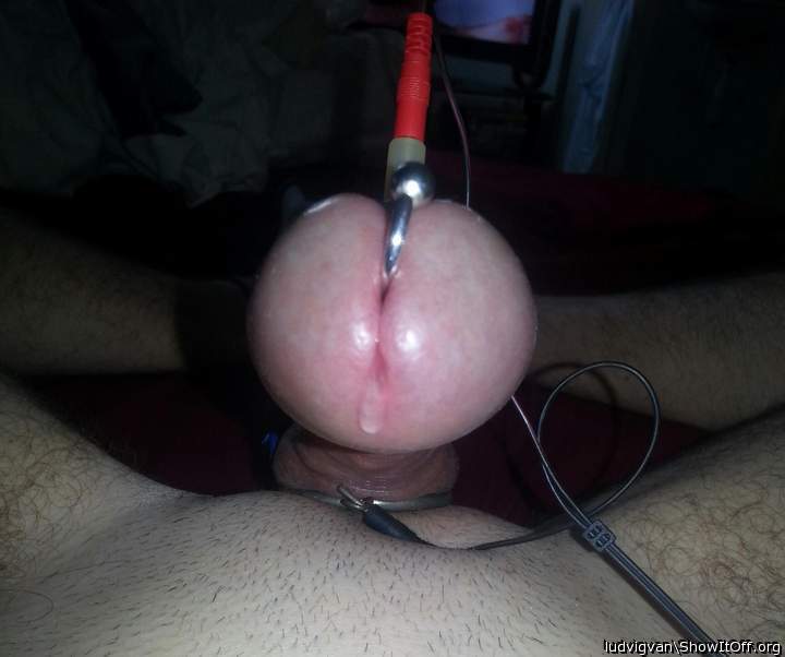 Pre cum with E Stim