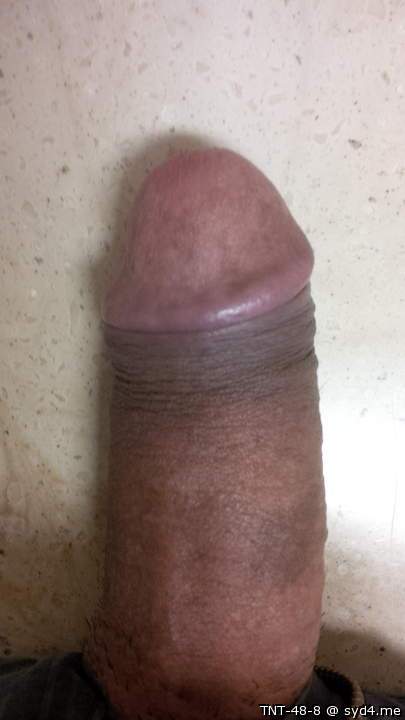 Photo of a third leg from TNT-48-8