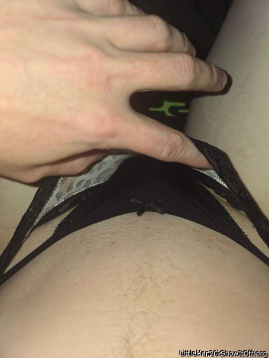 Photo of a cavalier from LittleMan20