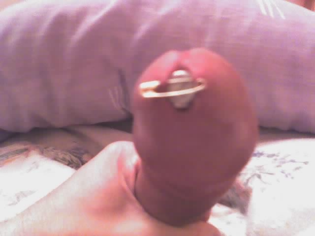 Photo of a middle leg from xander69