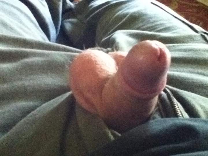 Photo of a ram rod from PoopSmith