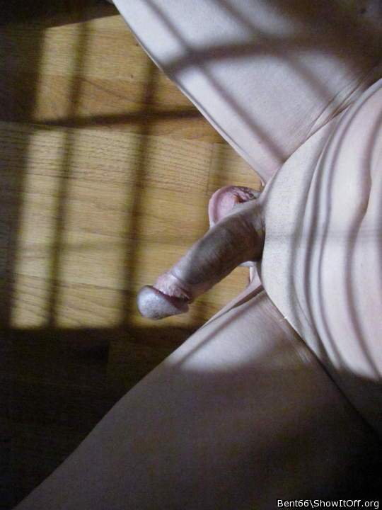 Photo of a lizard from Bent66
