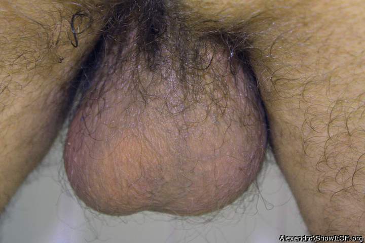 Testicles Photo from Alexendro