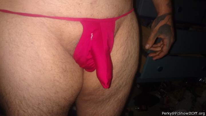Photo of a middle leg from Perky69