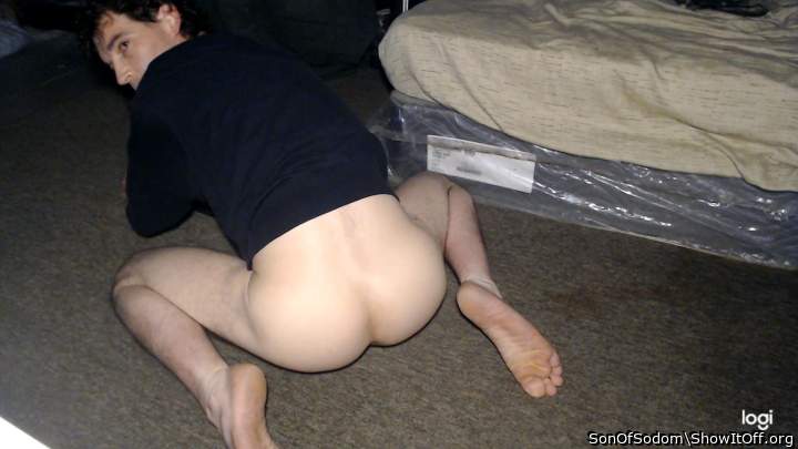 Photo of a middle leg from SonOfSodom