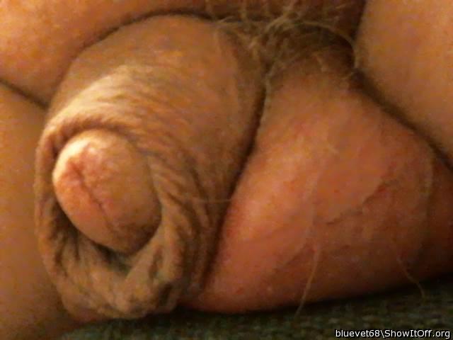 Photo of a sausage from bluevet68