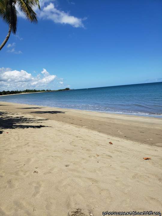 Punta salinas