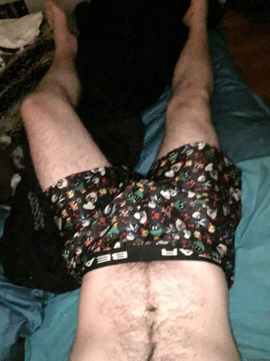 Photo of a middle leg from Boerseun
