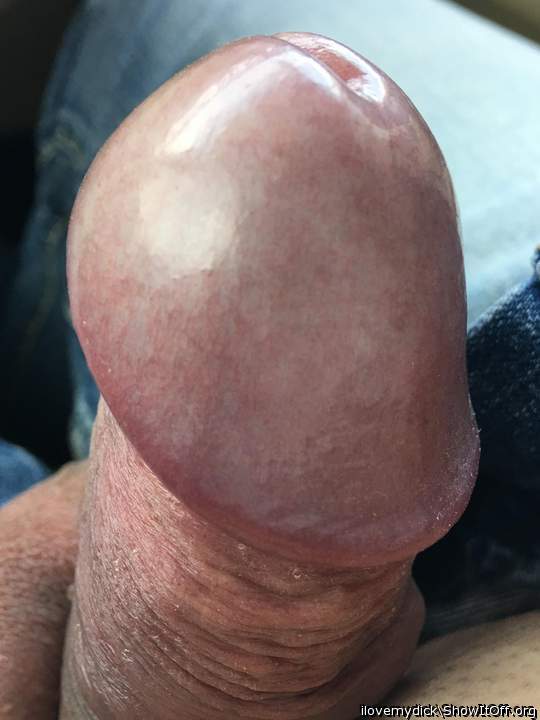 Photo of a bat from ilovemydick