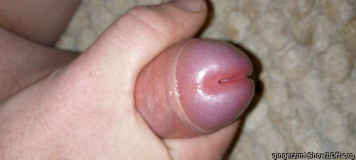 Photo of a short leg from gingerzim