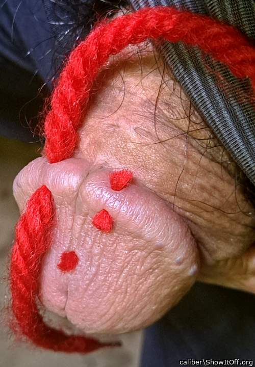 Photo of a sausage from caliber