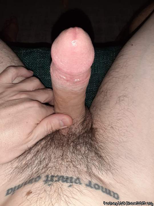 Photo of a ram rod from Rodney316