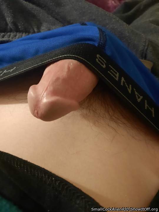 Photo of a dick from SmallCockAlien420