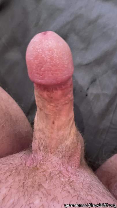 Photo of a phallus from germannico