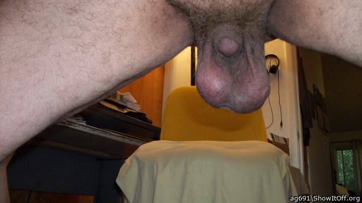 Photo of a horn from ag691