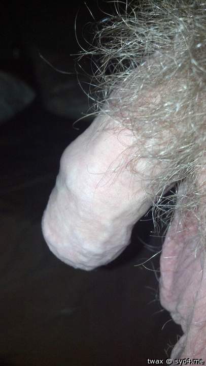 Photo of a horn from twax