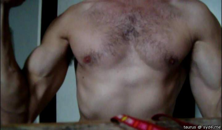 Adult image from taurus
