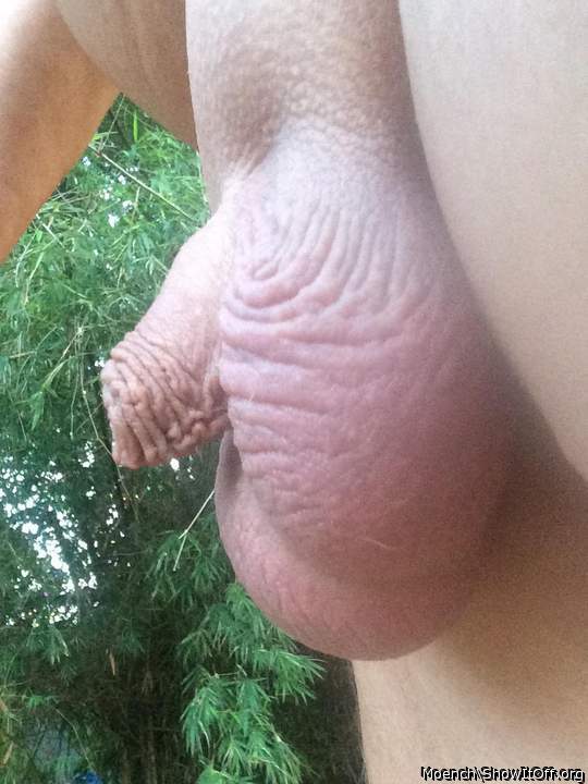 lovely big fat balls, spunk is all mine,,,woooooo