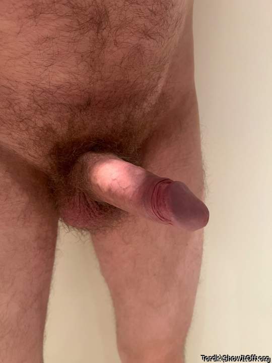 Photo of a prick from Tordk
