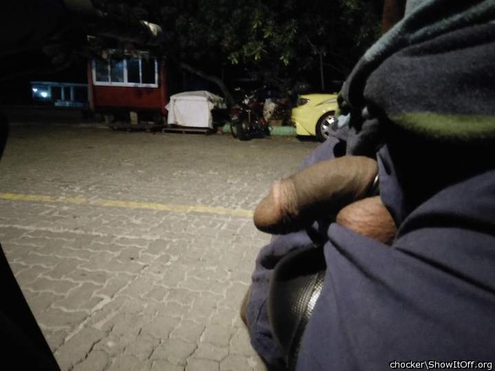 Photo of a bat from chocker